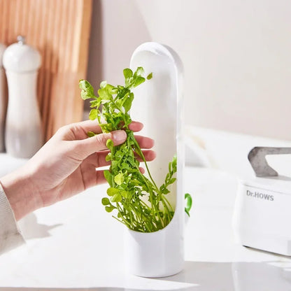 Herb Saver
